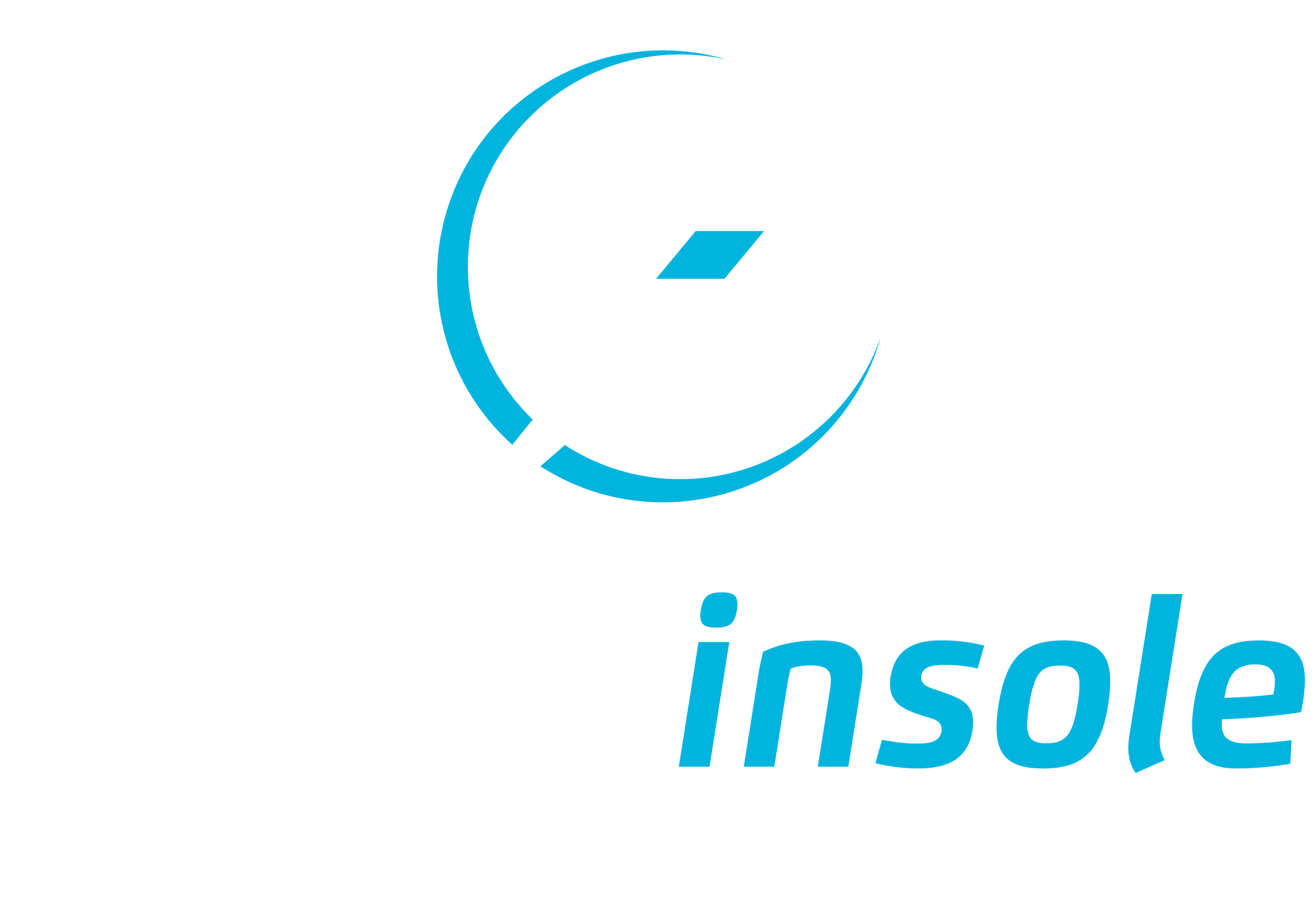 PowerInSole_logo_web.png