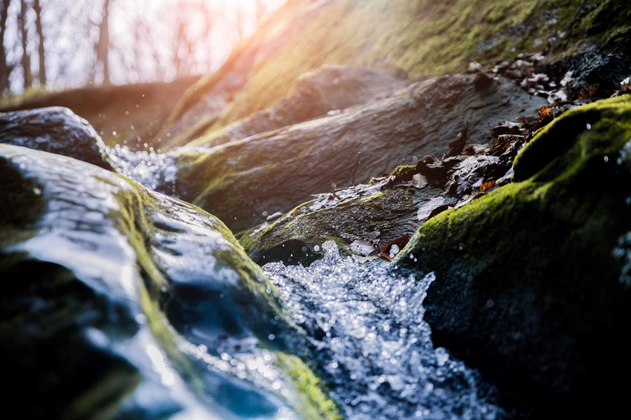 Stilvolle Wasser In Den Fssen Fotosnull